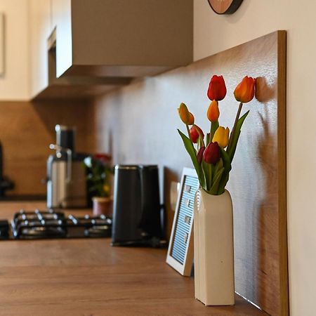 Veliki Apartman Petra Posedarje Extérieur photo